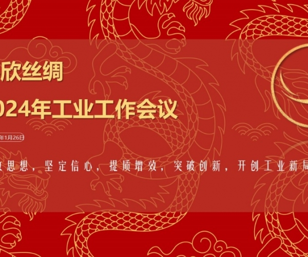 集團2024年工業(yè)工作會(huì )議順利召開(kāi)